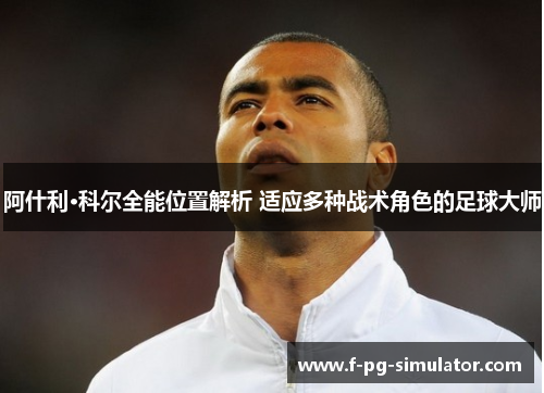 阿什利·科尔全能位置解析 适应多种战术角色的足球大师