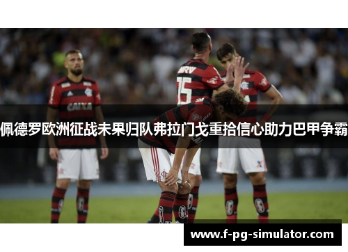 佩德罗欧洲征战未果归队弗拉门戈重拾信心助力巴甲争霸 佩德罗欧洲征战未果归队弗拉门戈重拾信心助力巴甲争霸